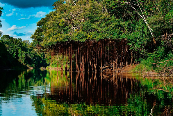 Amazonas: Enjoy the impressive Peruvian jungle