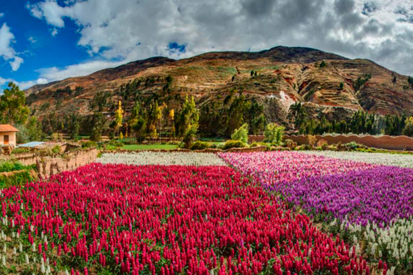 Peru: Best destinations in spring