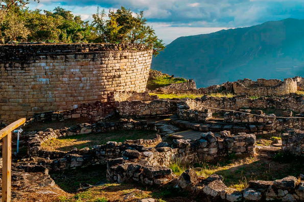 Amazonas: Enjoy the impressive Peruvian jungle