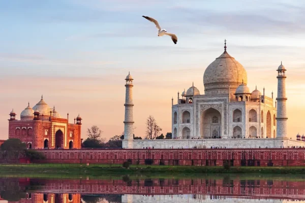 India and the profitability of table games in casinos according to experts